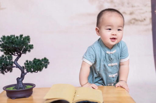 嘉鱼可爱的企鹅宝宝